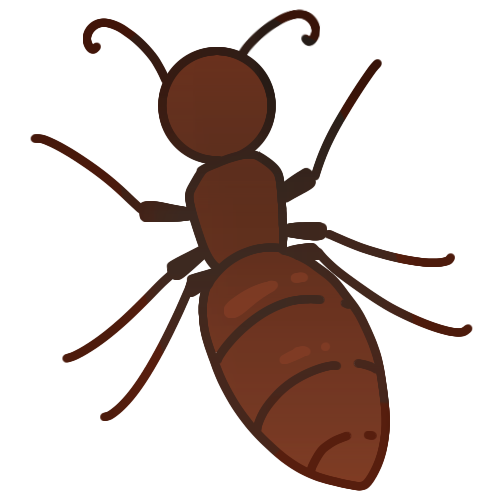 a red ant